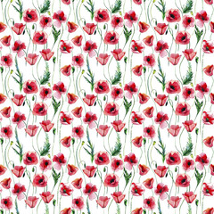 Bright beautiful wonderful summer autumn herbal floral red poppies flowers with green leaves pattern watercolor hand illustration. Perfect for greetings card, textile, wallpapers, banners