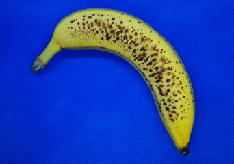 Eine reife gelbe Banane mit blauem Hintergrund