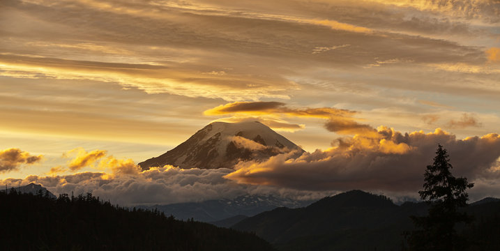 Mt Rainier At Sunset With Golden Clouds