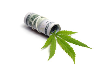 A hundred-dollar bill of the United States, rolled up around a green cannabis leaf. Marijuana and money. Isolated, copy space. The concept of a drug dealer or legalization.