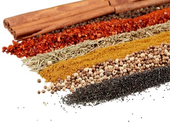 Rows of Spices - Isolated