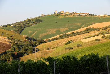 Fototapeta na wymiar Panoramic view of olive groves, vineyards and farms on rolling hills of Abruzzo. Italy