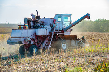 Harvester on the field mowing sowing, collects autumn harvest.