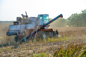Fototapeta premium Harvester on the field mowing sowing, collects autumn harvest.
