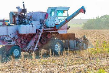 Harvester on the field mowing sowing, collects autumn harvest.