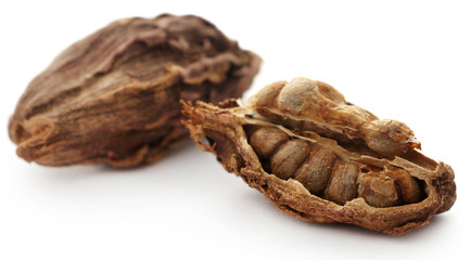Black cardamom