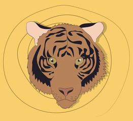 portrait of a tiger on a background