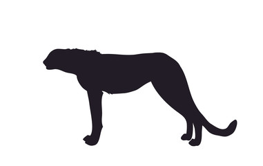 silhouette of a cheetah that stands, vector