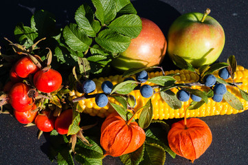 Erntedankfest - Schätze der Natur