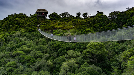 A long bridge 