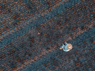 Top view of male farmer flying a drone in field