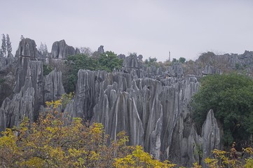 Stone Forest - Kunming (Shilin, Yunnan, China)