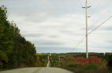 Country Road in Autumn