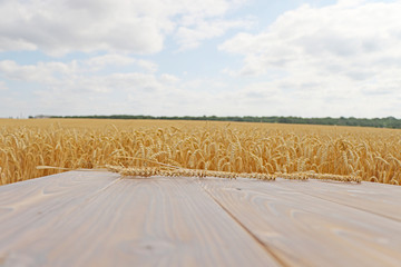 Background of grain on the field