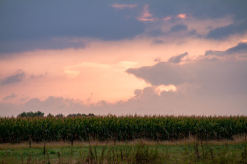 Objects in the Dutch 