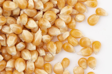 Unpopped Popcorn Kernals