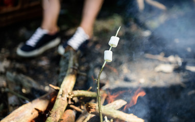 Camp tradition. Marshmallows on stick with bonfire and smoke on background. Holding marshmallow on stick. How to roast marshmallows. Roasty, toasty marshmallows such quintessential taste of picnic