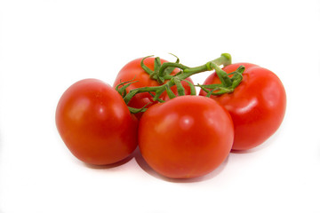 Tomatoes on a branch isolated on white background. Vegetables on a white background. Food . Healthy eating.