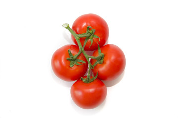 Tomatoes on a branch isolated on white background. Vegetables on a white background. Food . Healthy eating.