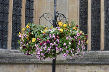 Fototapeta na wymiar Adorno floral en Bristol