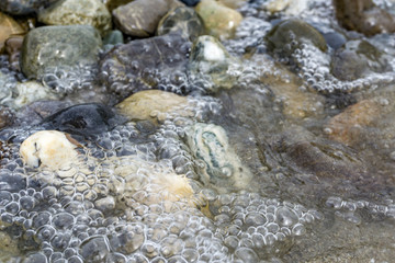 Luftblasen und schöne bunte Steine im Wasser. Ufer des Bodensees