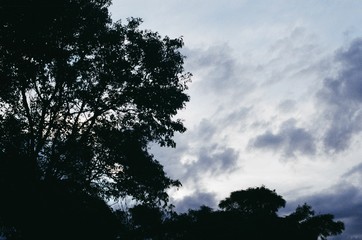 nature sky life water network facebook photo xxx