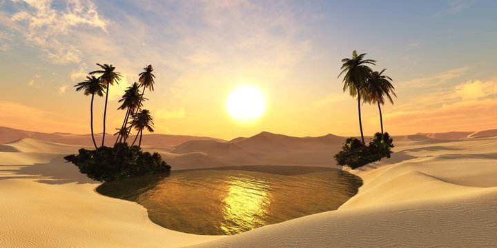 Sandy desert. Oasis with palm trees at sunset.
