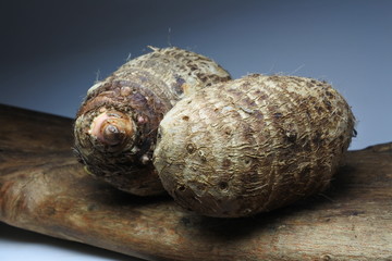 Exotic tannia fresh tuber