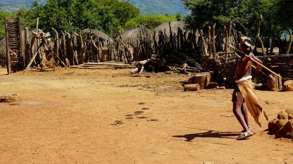 African Zulu, Xhosa, Tribe People wearing African traditional clothes and dancing, South Africa