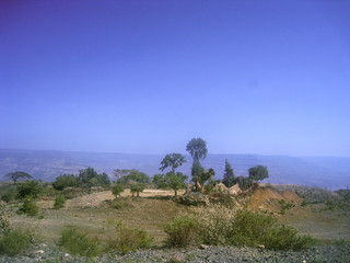 Ethiopian Desert