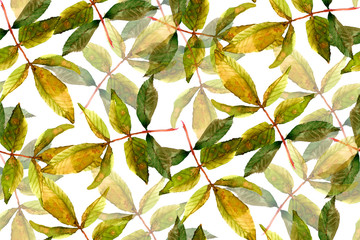 watercolor background with green leaves - 220016826