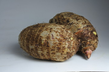 Exotic tannia fresh tuber