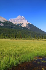 Rocheuses Canadiennes
