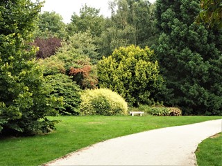 Colourful shrubs and trees in an English garden in summer