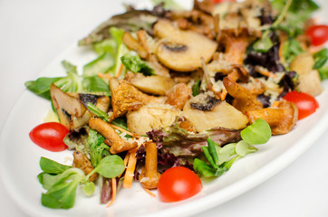 green salad with fried mushrooms with fresh cherry tomatoes on a white plate. delicious vegan salad. a useful dietary dish from the menu.