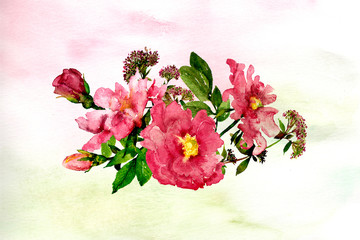 hand painted watercolor flowers and roses in reds and pinks - 220018458