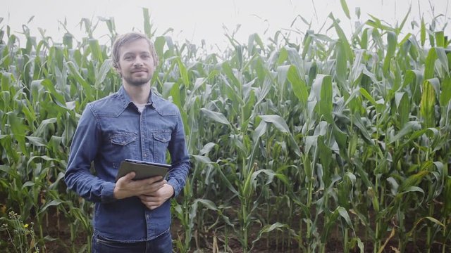 Portrait of young attractive farmer with tablet standing in corn fiel