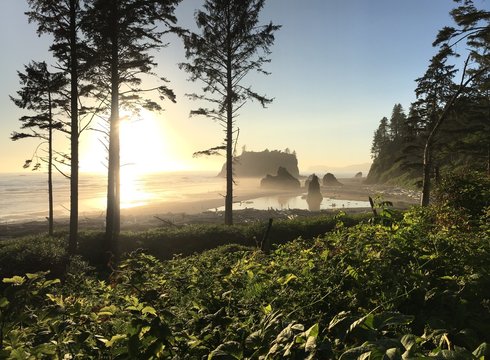 Sunset At Ruby Beach, Olympic National Park, WA, USA
