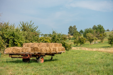 Strohballen auf Trailer