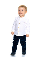 Handsome little boy in full growth