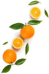 Fruits and leaves of orange tree.