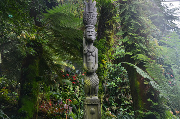 Fototapeta premium Singapore Cloud Forest, Singapore, Asia