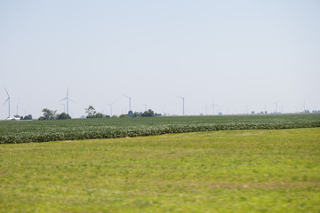 Fototapeta na wymiar Windmills power plant in rural landscape. Wind turbine farm for electric power production. Windmills for electric power production in USA.