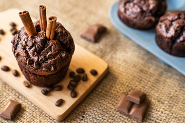 homemade chocolate muffin