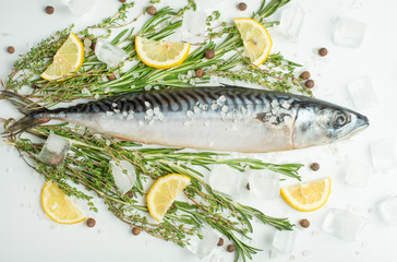 Raw sardines on a table with ice and spices. View from above.