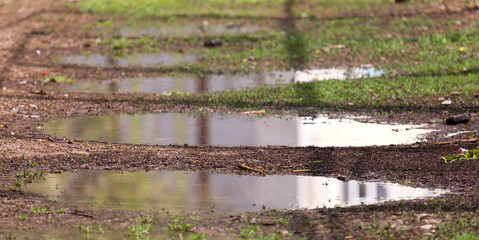 puddle after rain