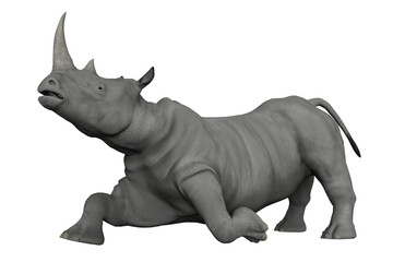 Obraz premium nosorożce odkrywają okolice