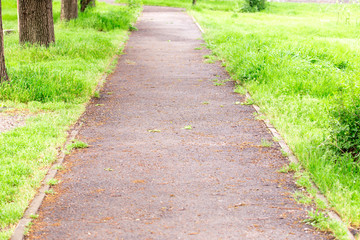 spring, pavement in the park
