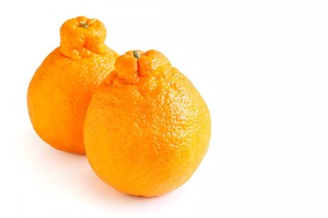 Fresh Sumo Mandarin on White Background 