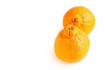 Fresh Sumo Mandarin on White Background 